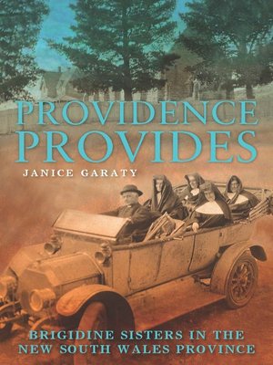 cover image of Providence Provides
